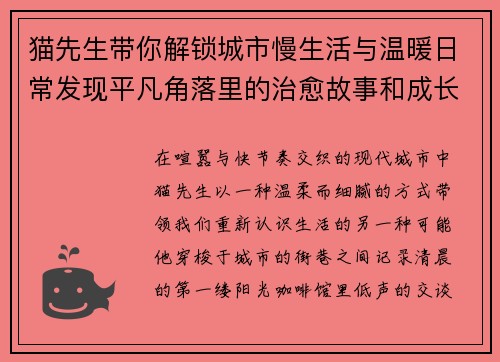 猫先生带你解锁城市慢生活与温暖日常发现平凡角落里的治愈故事和成长灵感 猫先生带你解锁城市慢生活与温暖日常发现平凡角落里的治愈故事和成长灵感